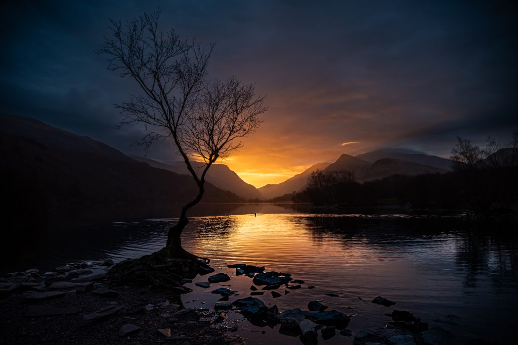 Silhouetted tree by a calm lake at sunset with orange glow behind distant mountains and dark blue sky behind.