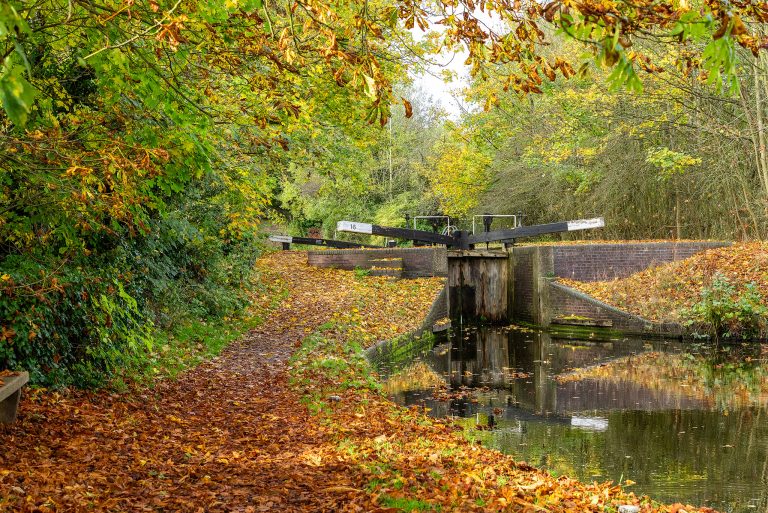 Autumn scene with a narrow canal and a lock gate, leaves in orange and yellow on the path and trees overhead.