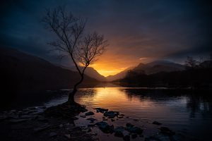 Y Goeden Unig (The Lonely Tree) Silhouetted tree by a calm lake at sunset with orange glow behind distant mountains and dark blue sky behind.