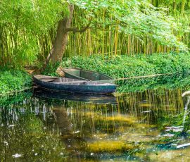 Two rowing boats are beached on a lakeside with a backdrop of bamboo. Monet's Garden - Giverney Two rowing boats beached on a lakeside with a backdrop of bamboo