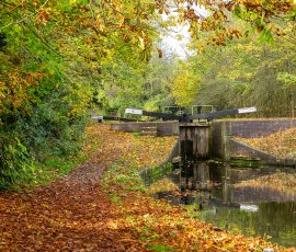 Lock gate reflected in the Grand Union Canal at Lapworth. Autumn scene with a narrow canal and a lock gate, leaves in orange and yellow on the path and trees overhead.